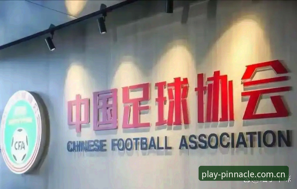 足球反腐风暴 vs 体育诚信重建：足协第三批禁足令背后的行业洗牌